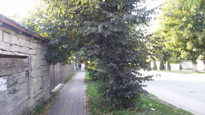 Тарусское время